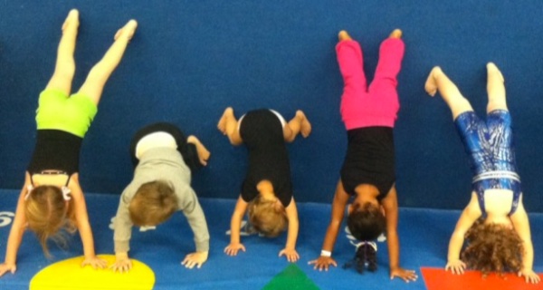 Elite Gymnastics and Cheer